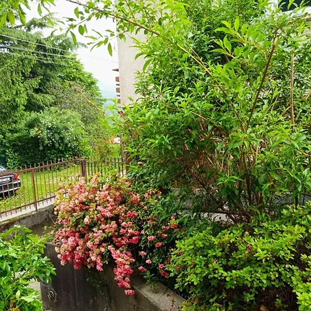 Villa La Palma *